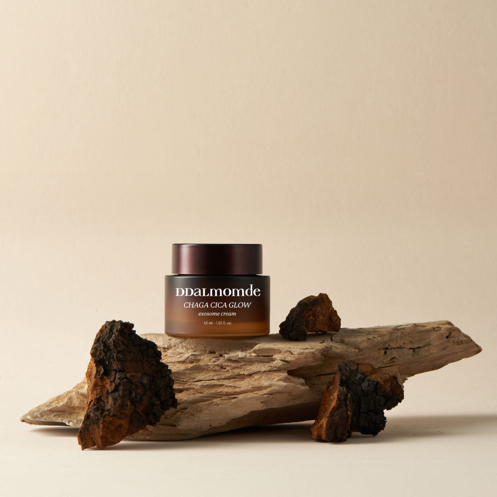 Ddalmomde Chaga Cica Glow Exosome Cream Duo Set